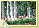 Rouen_LLA (69)